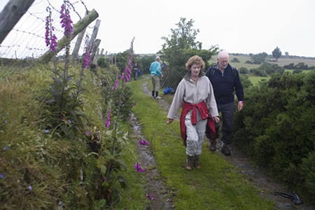 mournes_walking